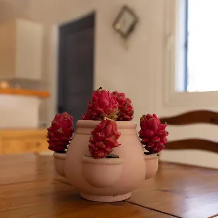 Nadezda Holiday home *