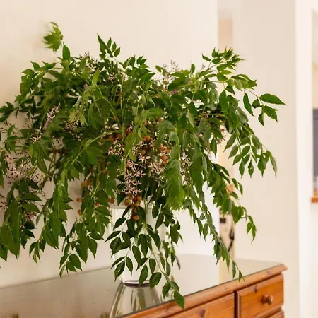 Σπίτι διακοπών Nadezda - 3br Retreat In Paradise Gardens, *