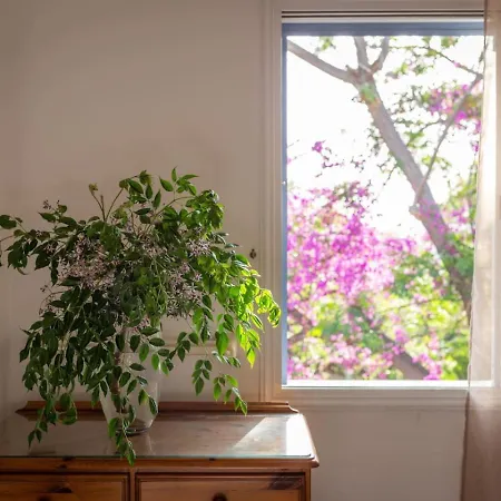 Nadezda - 3br Retreat In Paradise Gardens, Tatil Evi Pafos