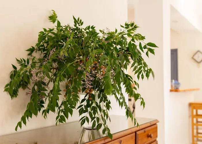 Сasa de vacaciones Nadezda *