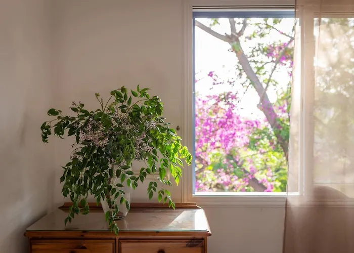 Nadezda - 3br Retreat In Paradise Gardens, 別荘 パ フォス